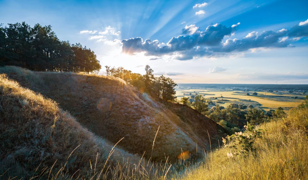 Czy ktoś też potrzebuje znaleźć ciekawe informacje?