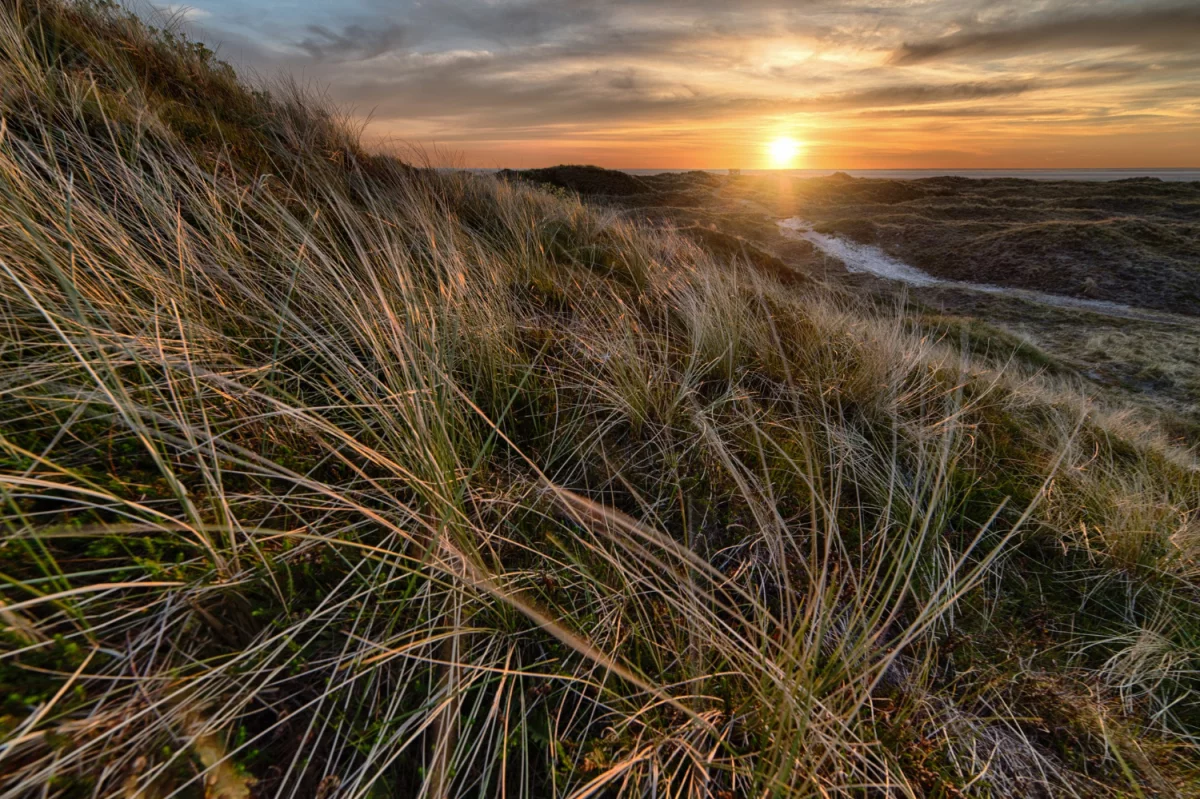 Czy ktoś też lubi Oddać elektrośmiecie we Wrocławiu?
