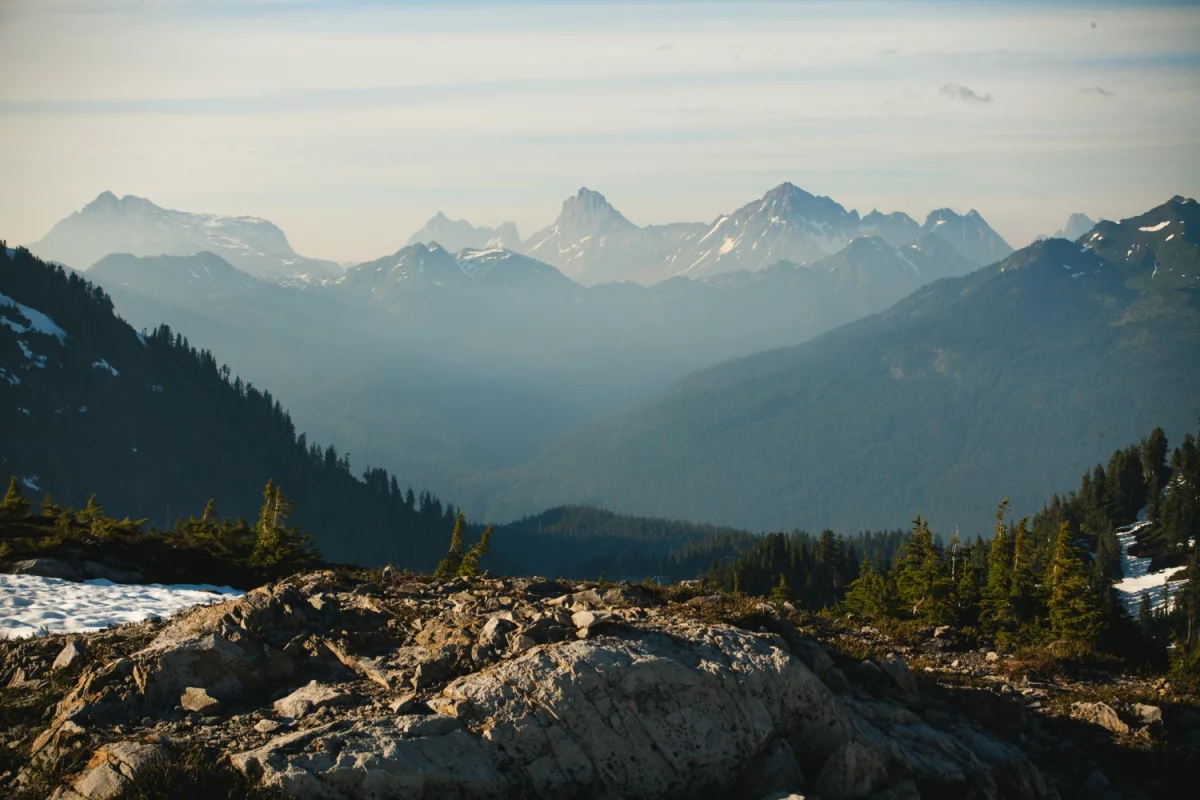 Oto Jak Szybko I Bezpieczenie się reklamować