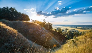 Szokujące 6 Metod Aby Oddać elektrośmiecie w Poznaniu